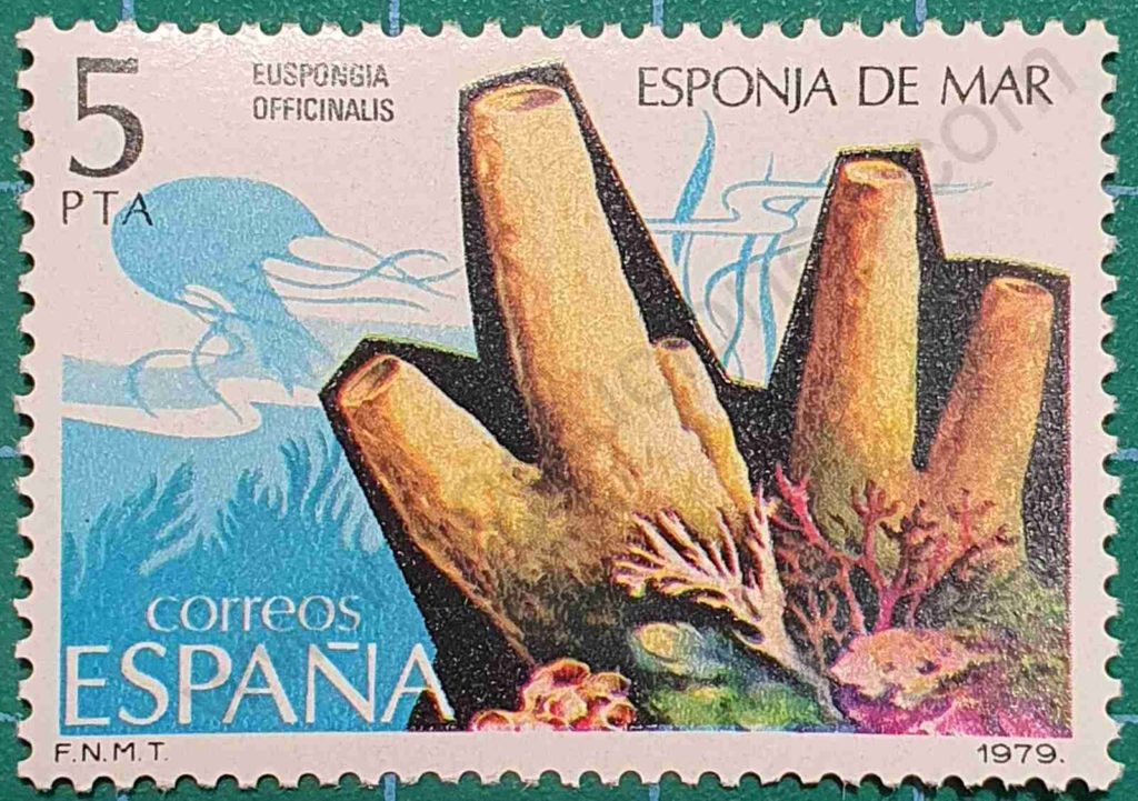 Esponja de mar - España 1979